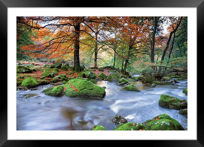 Forest River Framed Mounted Print by Helen Hotson