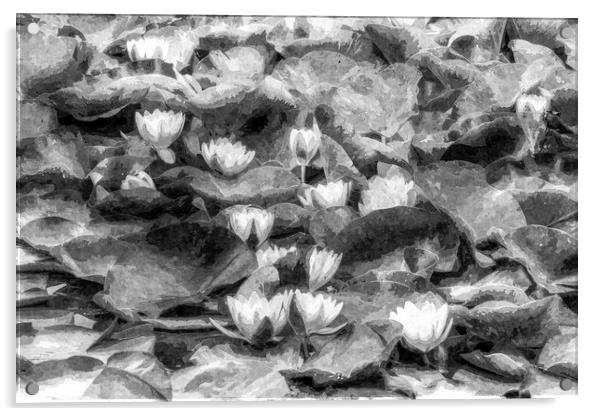Water Lily Art Acrylic by David Pyatt