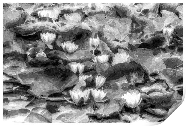 Water Lily Art Print by David Pyatt