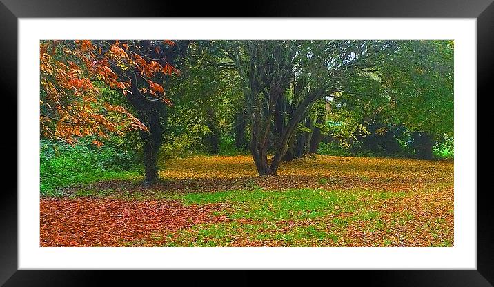 Simple what Autumn is all about  Framed Mounted Print by Sue Bottomley