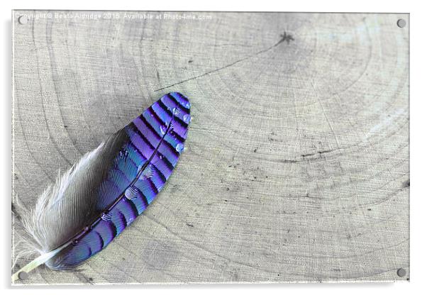  Blue feather Acrylic by Beata Aldridge