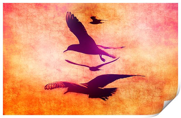  Free As A Bird Print by Louise Godwin
