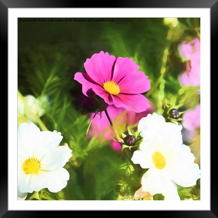  Cosmos jungle Framed Mounted Print by Sharon Lisa Clarke