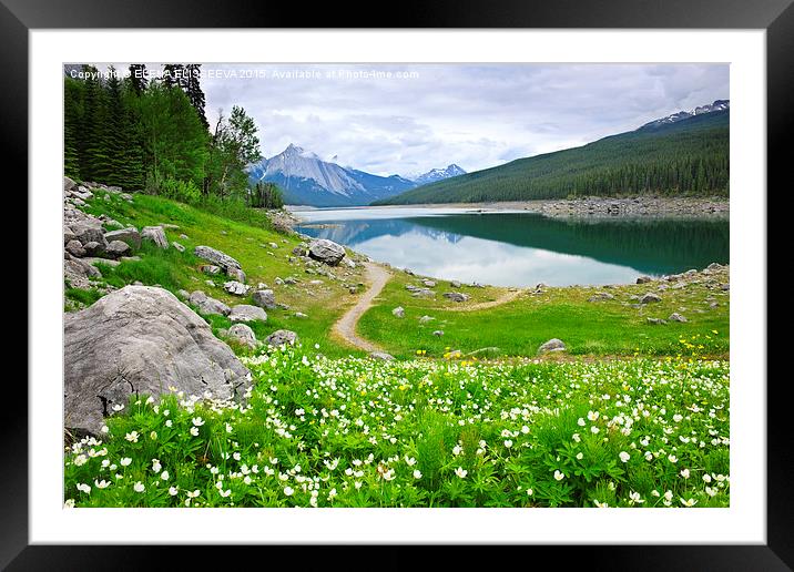 Jasper National Park, Canada. Framed Mounted Print by ELENA ELISSEEVA