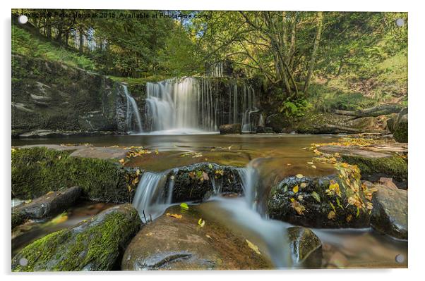 Brecon Waterfall Acrylic by Pete Holyoak