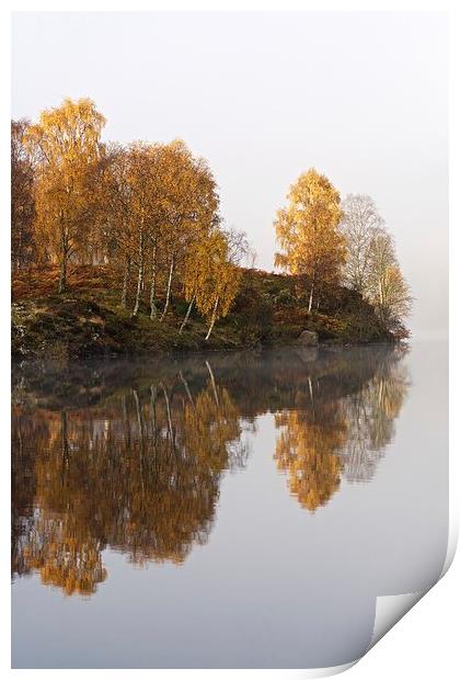  Autumn colours and golden light Print by Stephen Taylor