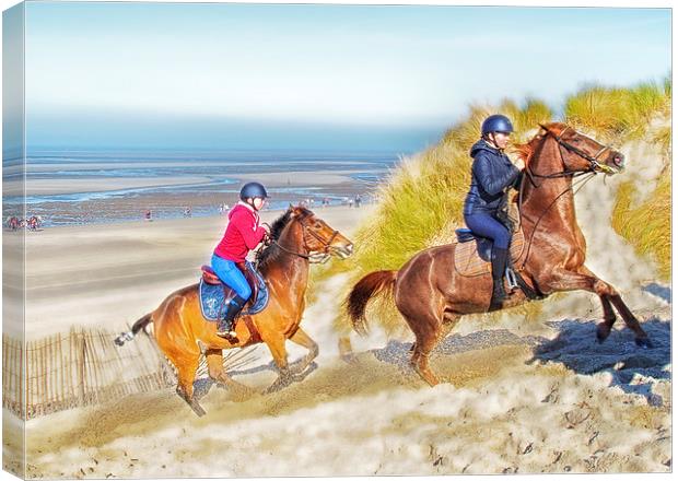  Horses on The Dunes Canvas Print by peter tachauer