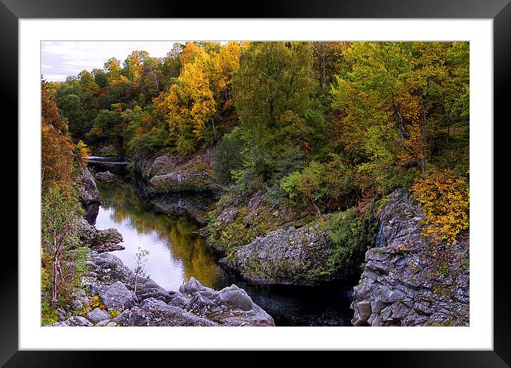 Autumn Gold by the River Findhorn  Framed Mounted Print by Jacqi Elmslie