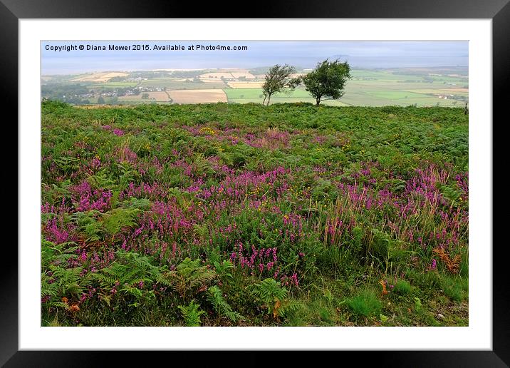  Quantock Hills Somerset Framed Mounted Print by Diana Mower