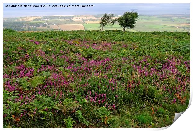  Quantock Hills Somerset Print by Diana Mower