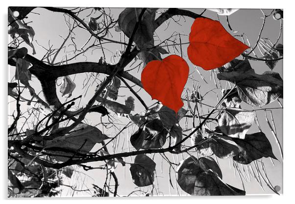  hearts of fall Acrylic by Marinela Feier