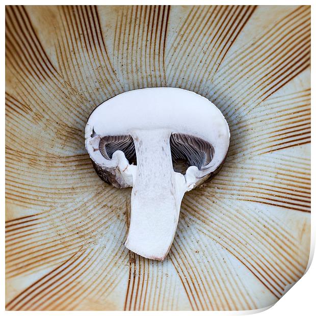  Mushroom in Suribachi Print by Shawn Jeffries