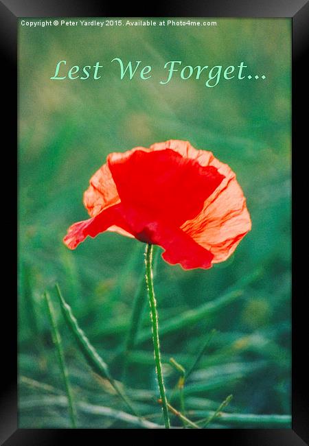 Poppy…In Remembrance  Framed Print by Peter Yardley