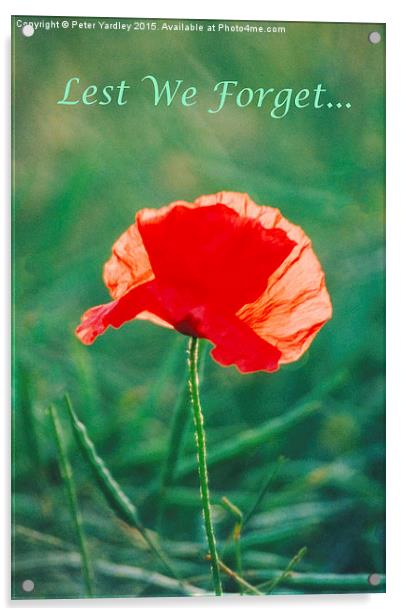 Poppy…In Remembrance  Acrylic by Peter Yardley