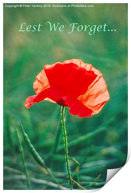 Poppy…In Remembrance  Print by Peter Yardley