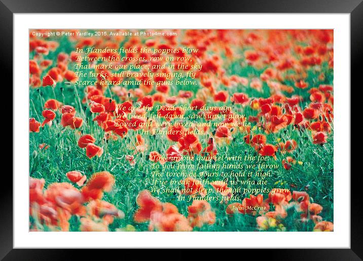 Poppies…In Flanders Fields  Framed Mounted Print by Peter Yardley