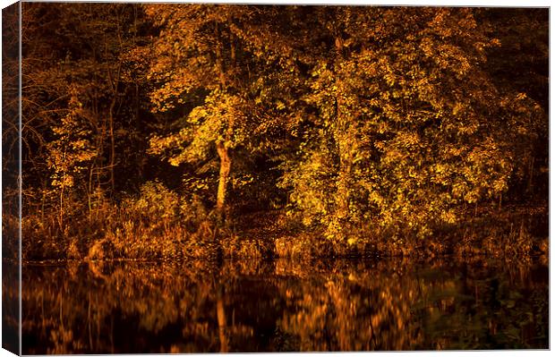 Golden Reflection Canvas Print by Naylor's Photography