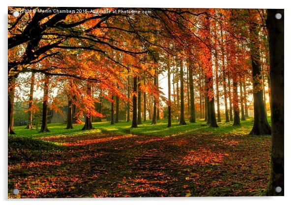  Autumn Woodland Walk Acrylic by Martin Chambers