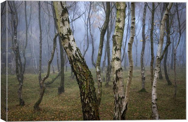  Autumn mist in the woods at Bolehill Canvas Print by Andrew Kearton