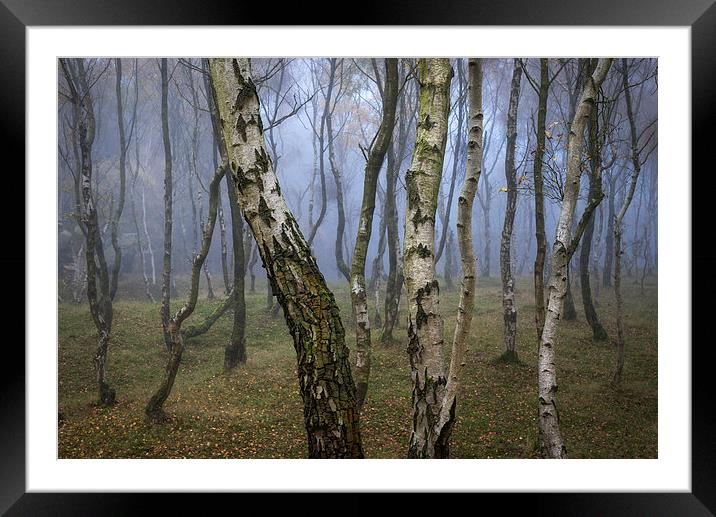  Autumn mist in the woods at Bolehill Framed Mounted Print by Andrew Kearton