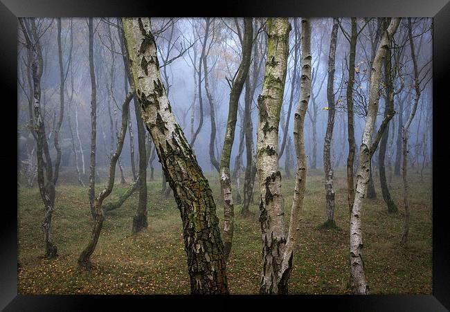  Autumn mist in the woods at Bolehill Framed Print by Andrew Kearton