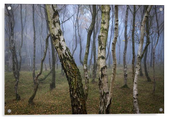  Autumn mist in the woods at Bolehill Acrylic by Andrew Kearton