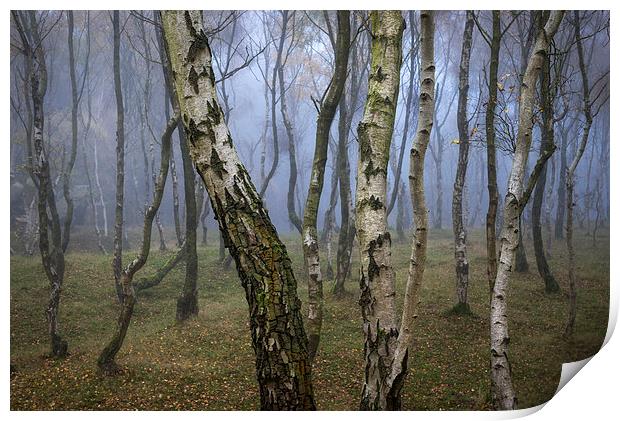  Autumn mist in the woods at Bolehill Print by Andrew Kearton
