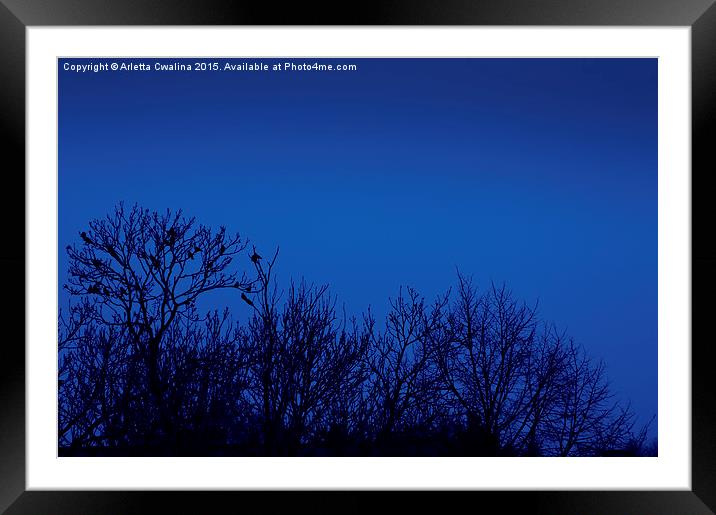 Crows on trees silhouette Framed Mounted Print by Arletta Cwalina