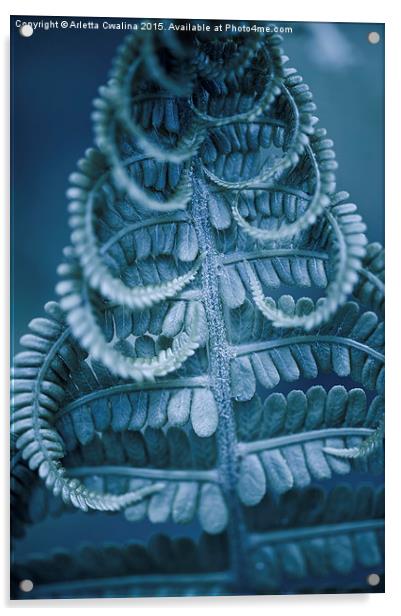 Twisted fern blue leaf macro Acrylic by Arletta Cwalina