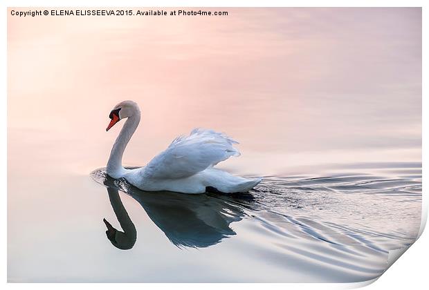 Sunset swan Print by ELENA ELISSEEVA