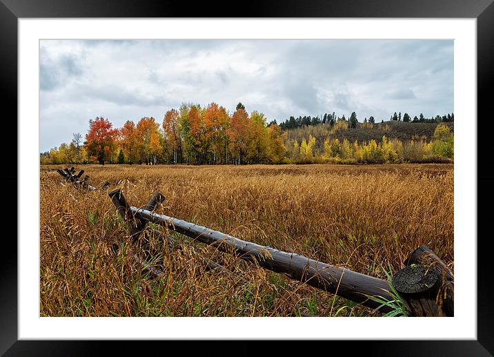  Rainy Fall Day in Wyoming - Grand Tetons Framed Mounted Print by Belinda Greb