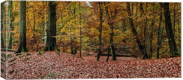 Autumn Scene.  Canvas Print by Peter Bunker