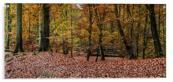 Autumn Scene.  Acrylic by Peter Bunker