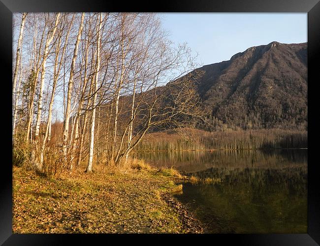  Mirror Lake Framed Print by Erin Hayes