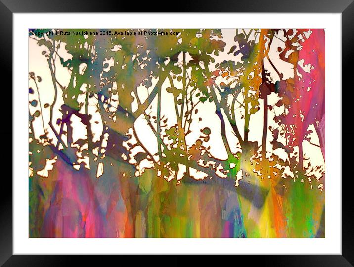 Rainbow Trees Framed Mounted Print by Ruta Naujokiene