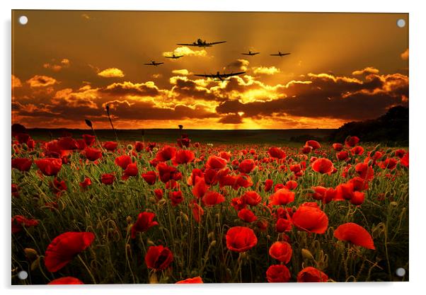 Sunset Poppies The BBMF Acrylic by J Biggadike