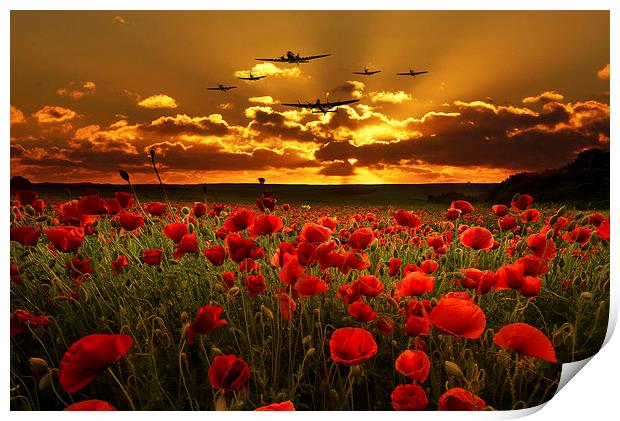 Sunset Poppies The BBMF Print by J Biggadike