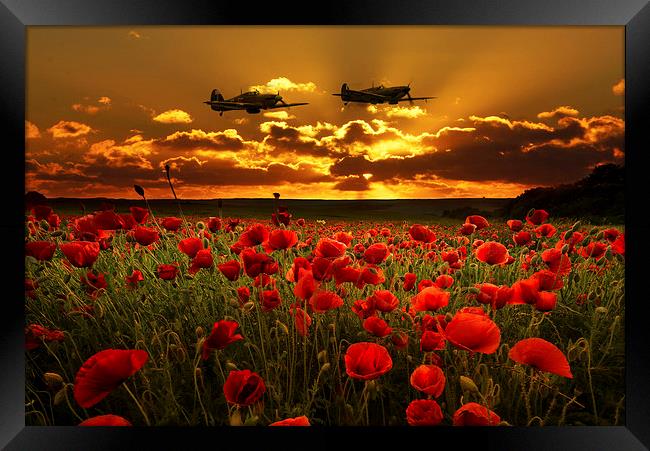 Sunset Poppies Fighter Command Framed Print by J Biggadike