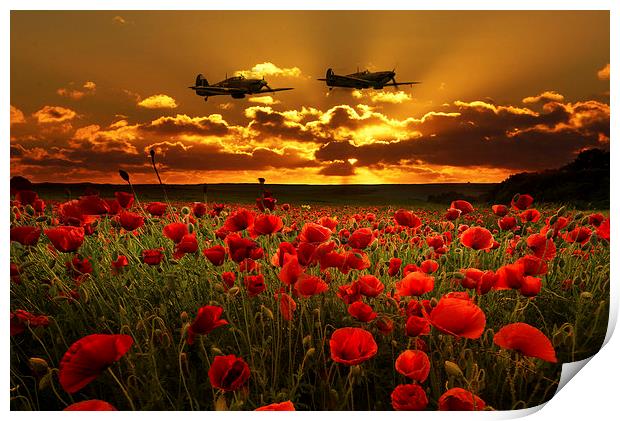 Sunset Poppies Fighter Command Print by J Biggadike