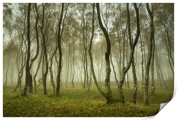 Misty Autumn woodland, Bolehill, Derbyshire Print by Andrew Kearton