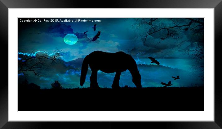 lone horse Framed Mounted Print by Derrick Fox Lomax