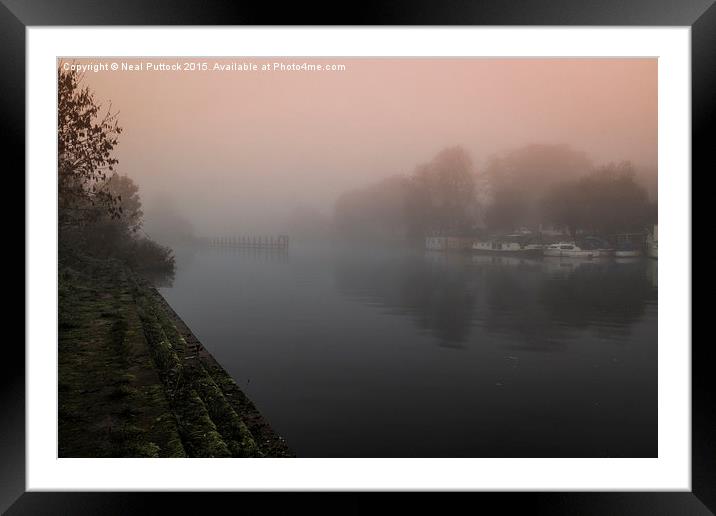  Smothered Framed Mounted Print by Neal P