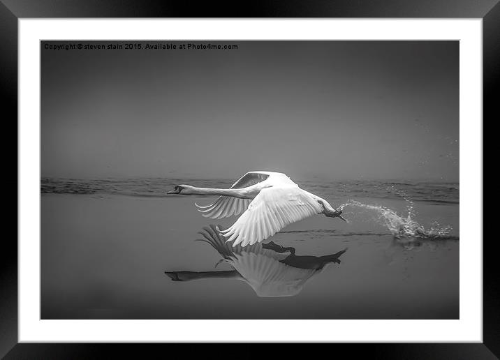  flight in reflection Framed Mounted Print by steven stain