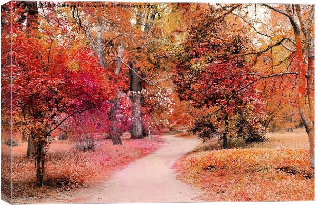  Autumn walk  Canvas Print by Mark Cake