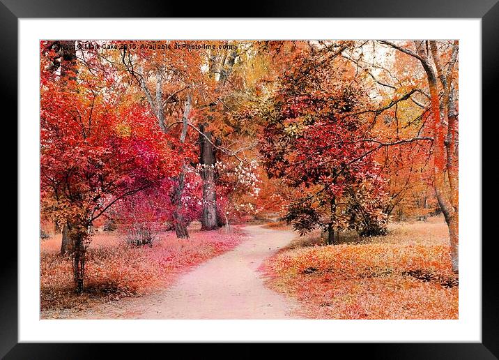  Autumn walk  Framed Mounted Print by Mark Cake