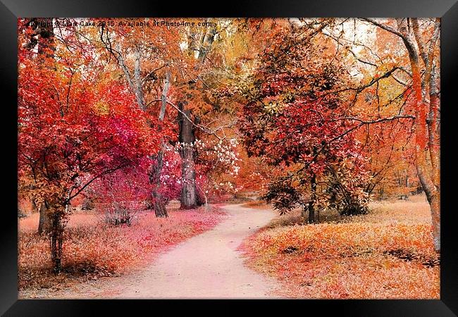  Autumn walk  Framed Print by Mark Cake