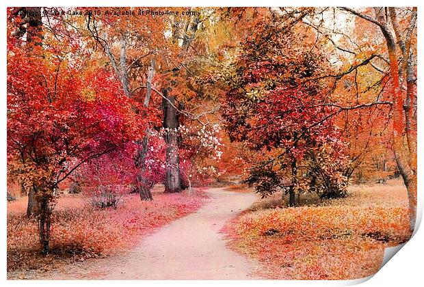  Autumn walk  Print by Mark Cake