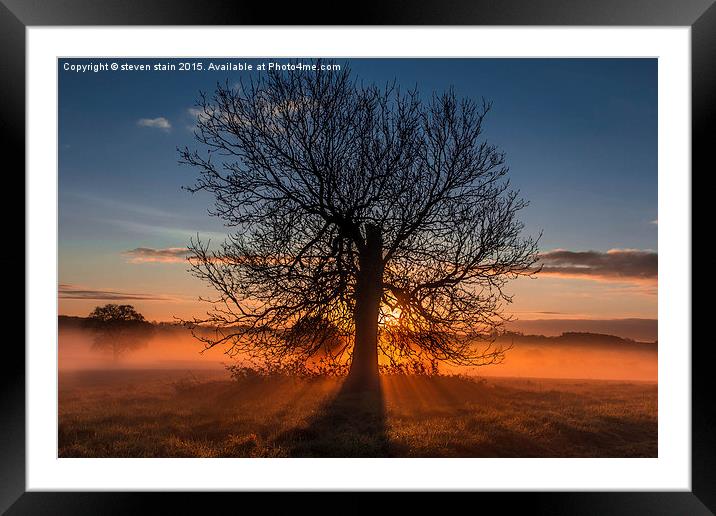  angel of light Framed Mounted Print by steven stain