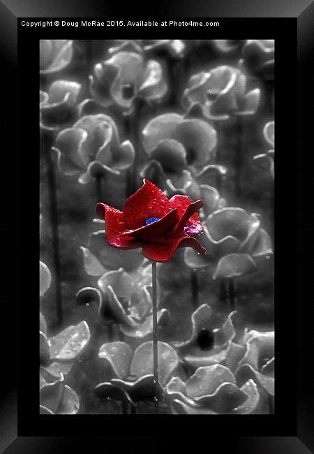  Red Poppy Framed Print by Doug McRae