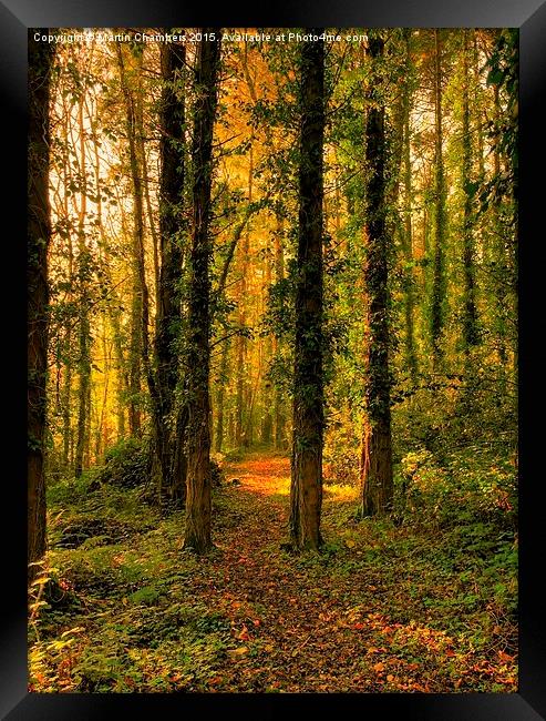   Woodland Path Framed Print by Martin Chambers
